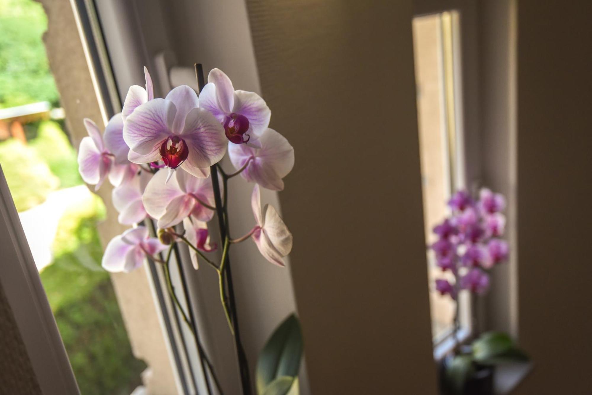 Amore Apartmanhaz Siófok Exteriér fotografie